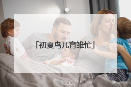 初夏鸟儿育雏忙