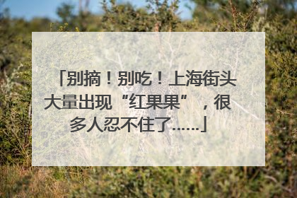 别摘！别吃！上海街头大量出现“红果果”，很多人忍不住了……