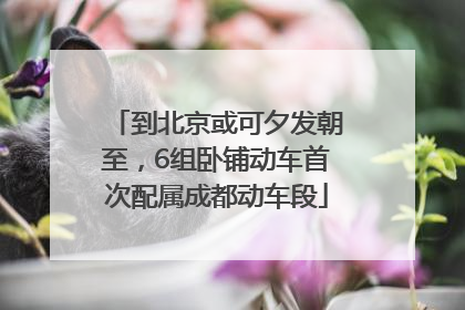 到北京或可夕发朝至，6组卧铺动车首次配属成都动车段