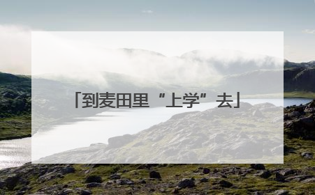 到麦田里“上学”去
