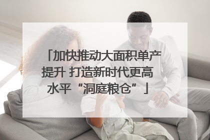 加快推动大面积单产提升 打造新时代更高水平“洞庭粮仓”