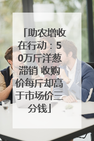 助农增收在行动：50万斤洋葱滞销 收购价每斤却高于市场价三分钱