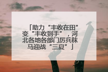 助力“丰收在田”变“丰收到手”，河北各地各部门厉兵秣马迎战“三夏”