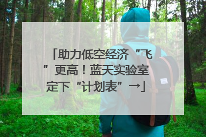 助力低空经济“飞”更高！蓝天实验室定下“计划表”→