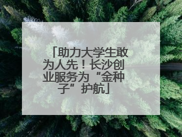 助力大学生敢为人先！长沙创业服务为“金种子”护航