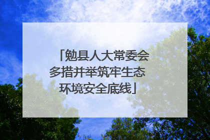 勉县人大常委会多措并举筑牢生态环境安全底线