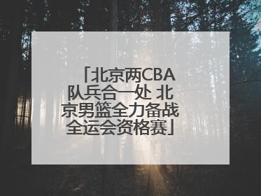 北京两CBA队兵合一处 北京男篮全力备战全运会资格赛