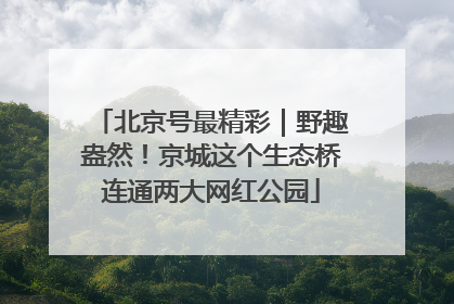 北京号最精彩｜野趣盎然！京城这个生态桥连通两大网红公园