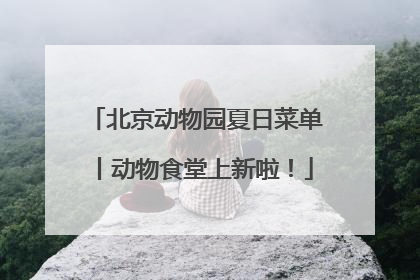 北京动物园夏日菜单丨动物食堂上新啦！