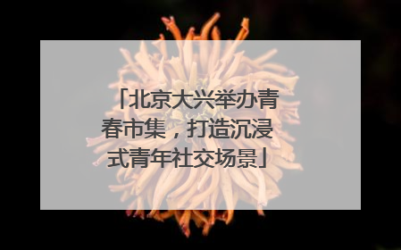 北京大兴举办青春市集，打造沉浸式青年社交场景