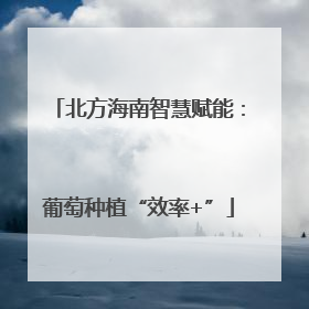 北方海南智慧赋能：葡萄种植“效率+”