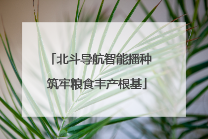 北斗导航智能播种 筑牢粮食丰产根基