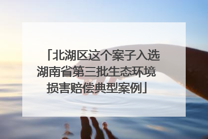 北湖区这个案子入选湖南省第三批生态环境损害赔偿典型案例