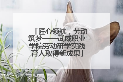 匠心领航，劳动筑梦——武威职业学院劳动研学实践育人取得新成果