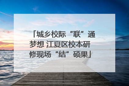 城乡校际“联”通梦想 江夏区校本研修现场“结”硕果