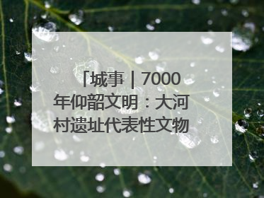 城事｜7000年仰韶文明：大河村遗址代表性文物首回原址