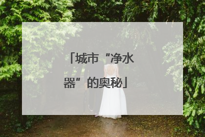 城市“净水器”的奥秘