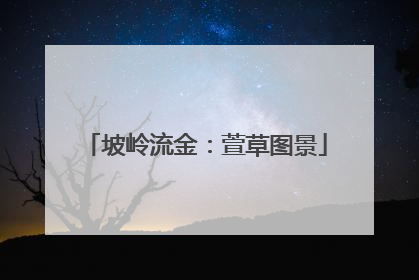 坡岭流金：萱草图景