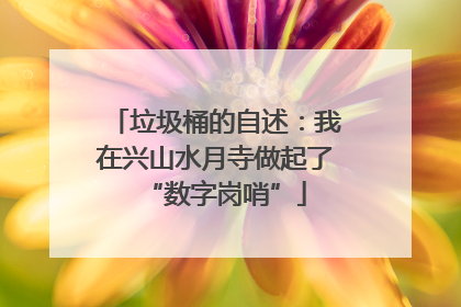 垃圾桶的自述：我在兴山水月寺做起了“数字岗哨”