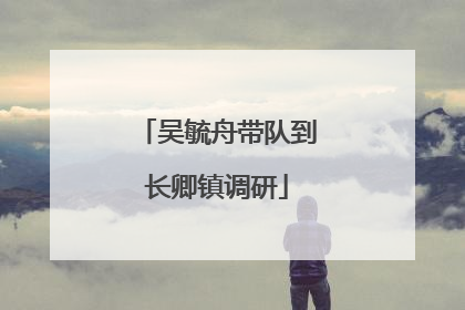 吴毓舟带队到长卿镇调研