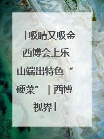 吸睛又吸金 西博会上乐山端出特色“硬菜”｜西博视界