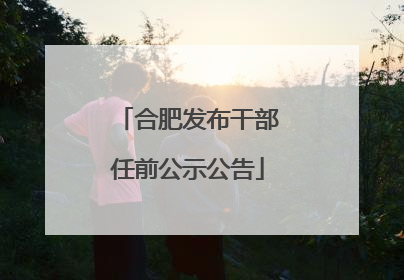 合肥发布干部任前公示公告
