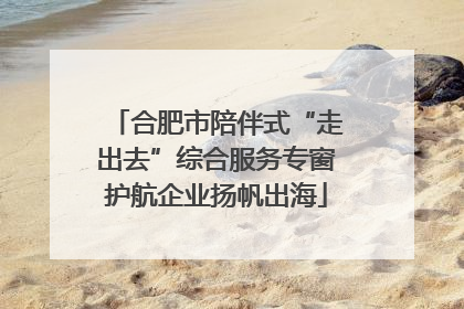 合肥市陪伴式“走出去”综合服务专窗护航企业扬帆出海