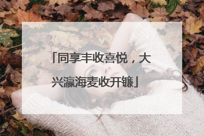 同享丰收喜悦，大兴瀛海麦收开镰
