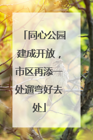 同心公园建成开放，市区再添一处遛弯好去处