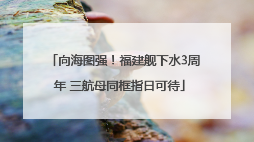 向海图强！福建舰下水3周年 三航母同框指日可待