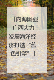 向海图强 广西大力发展海洋经济打造“蓝色引擎”