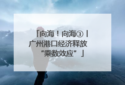 向海！向海③丨广州港口经济释放“乘数效应”