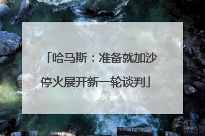 哈马斯：准备就加沙停火展开新一轮谈判