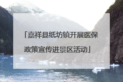 嘉祥县纸坊镇开展医保政策宣传进景区活动