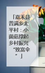 嘉禾县普满乡太平村：小菌菇撑起乡村振兴“致富伞”