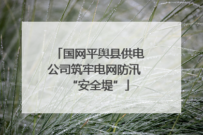 国网平舆县供电公司筑牢电网防汛“安全堤”