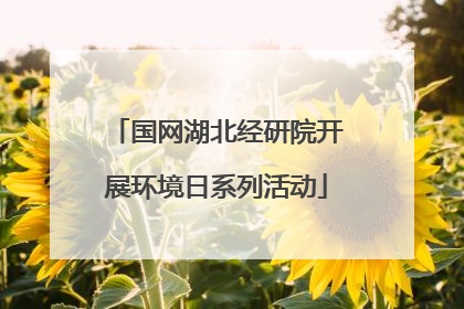 国网湖北经研院开展环境日系列活动