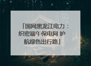 国网黑龙江电力：织密端午保电网 护航绿色出行路