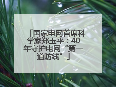 国家电网首席科学家郑玉平：40年守护电网“第一道防线”