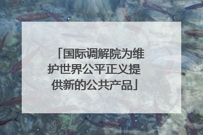国际调解院为维护世界公平正义提供新的公共产品