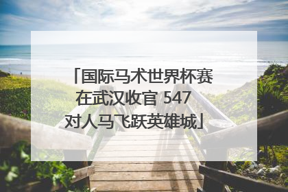 国际马术世界杯赛在武汉收官 547对人马飞跃英雄城