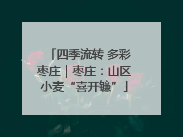 四季流转 多彩枣庄｜枣庄：山区小麦“喜开镰”