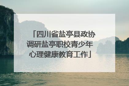四川省盐亭县政协调研盐亭职校青少年心理健康教育工作