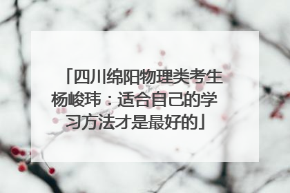 四川绵阳物理类考生杨峻玮：适合自己的学习方法才是最好的