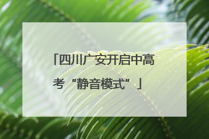 四川广安开启中高考“静音模式”