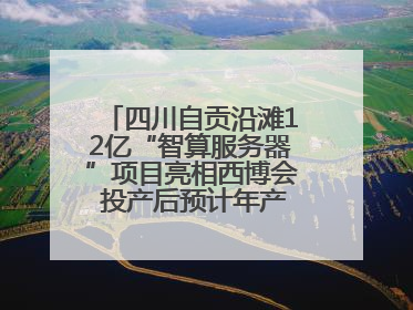 四川自贡沿滩12亿“智算服务器”项目亮相西博会 投产后预计年产值达15亿元