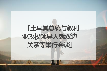 土耳其总统与叙利亚政权领导人就双边关系等举行会谈