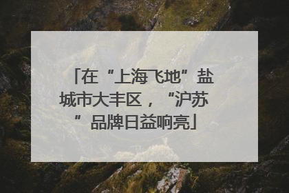 在“上海飞地”盐城市大丰区，“沪苏”品牌日益响亮