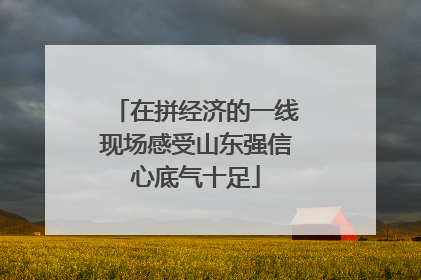 在拼经济的一线现场感受山东强信心底气十足