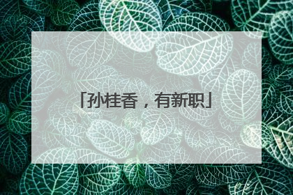 孙桂香，有新职